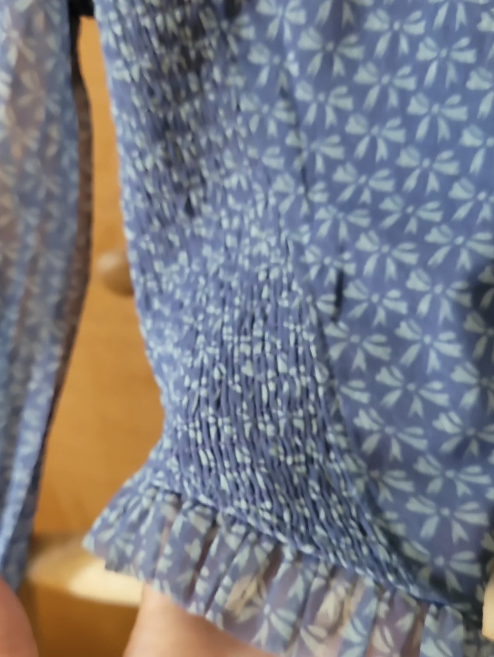Free People Blue Long-Sleeve Scoop Neck Smocked Top